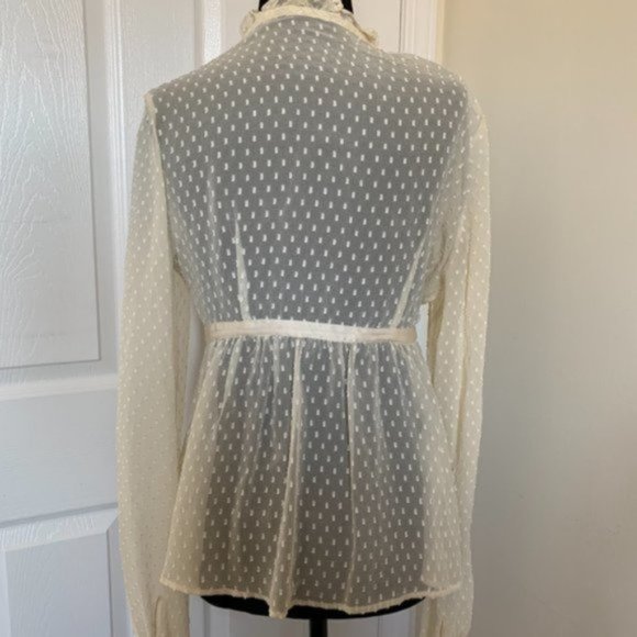 Transparent Cream Colour Silk Dot Blouse - Picture 3 of 3